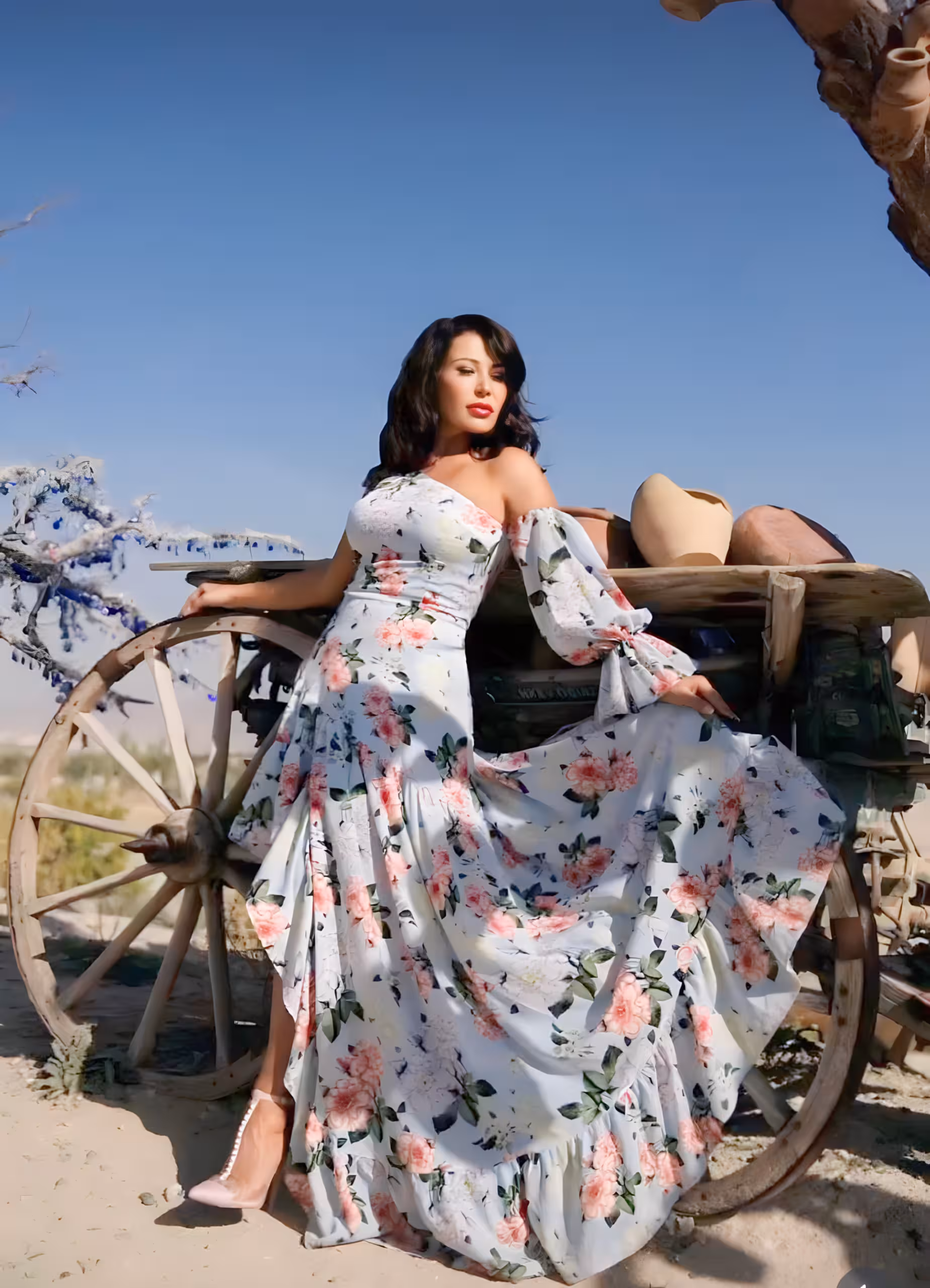 Viktoriya ukraine brides now