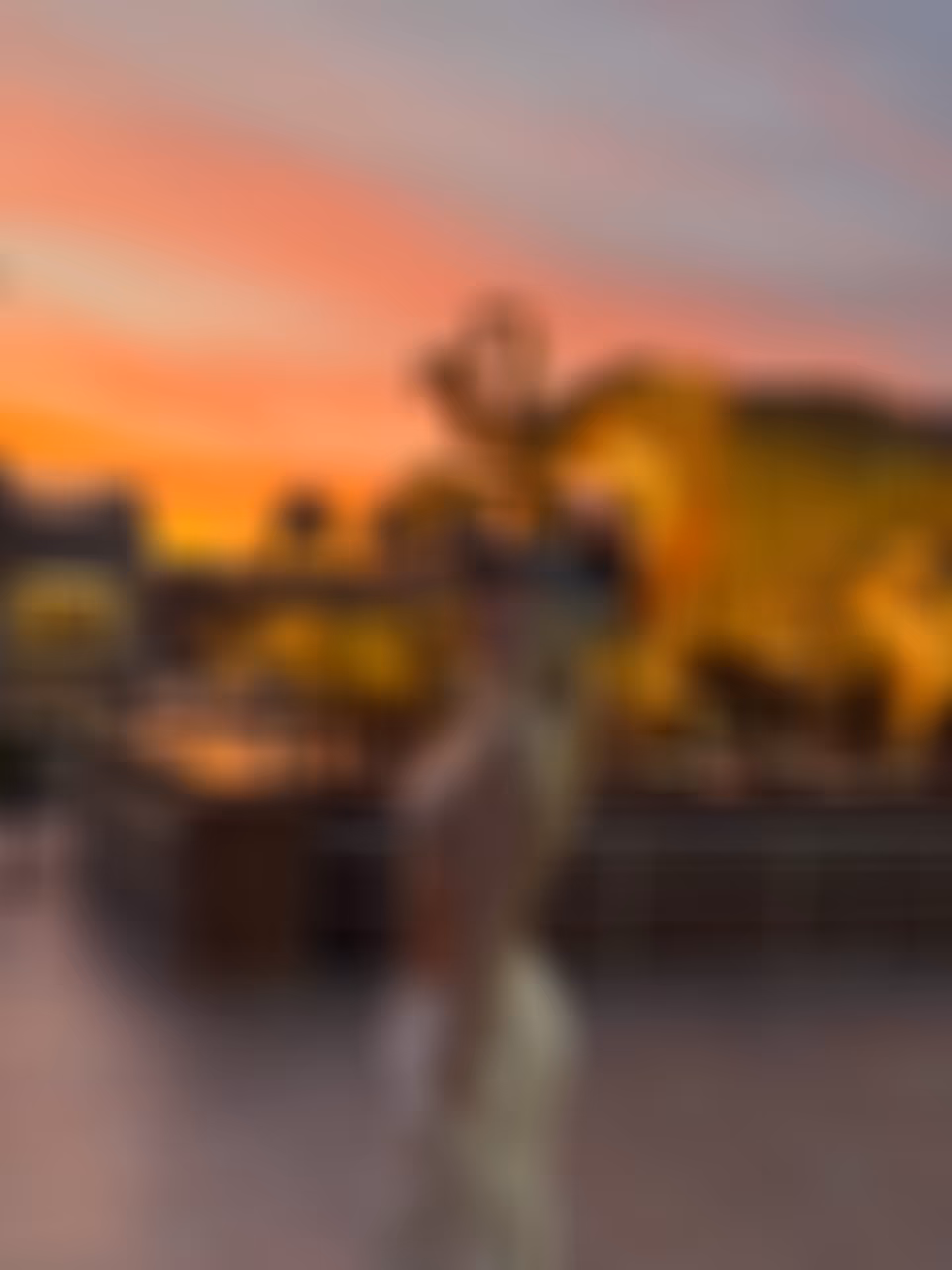 Elleonora brides of ukraine odessa